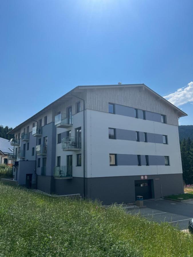 Klinovec-Apartments Loučná pod Klínovcem Exterior foto